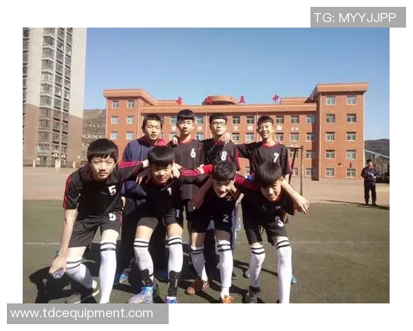 校园足球明星评选方案及实施细则探讨与创新实践分享