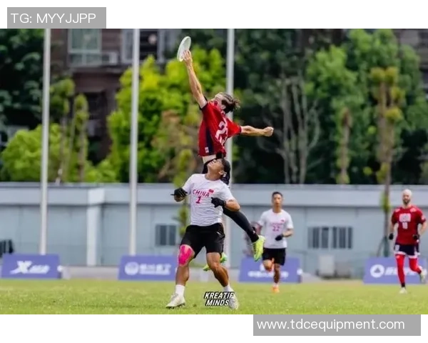 数据分析：北京飞盘队的意识表现