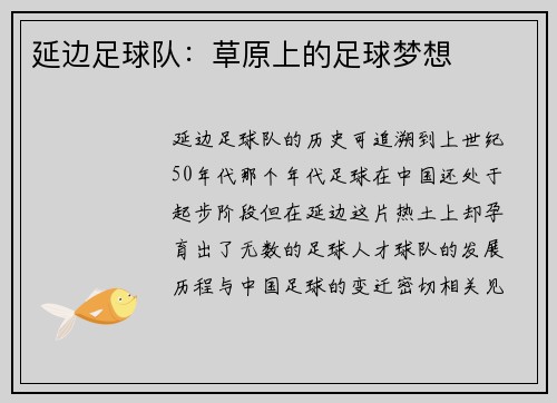 延边足球队：草原上的足球梦想