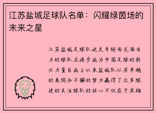 江苏盐城足球队名单：闪耀绿茵场的未来之星