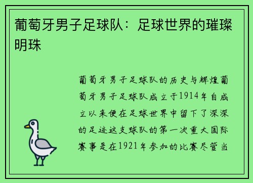 葡萄牙男子足球队：足球世界的璀璨明珠