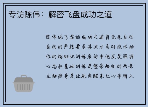 专访陈伟：解密飞盘成功之道
