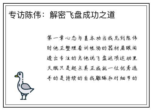 专访陈伟：解密飞盘成功之道
