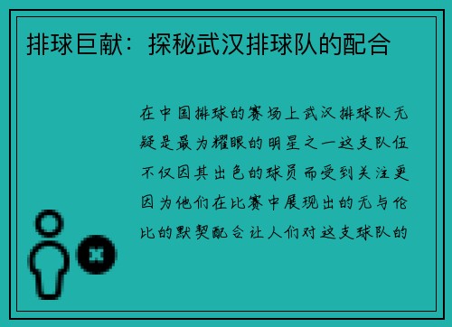 排球巨献：探秘武汉排球队的配合